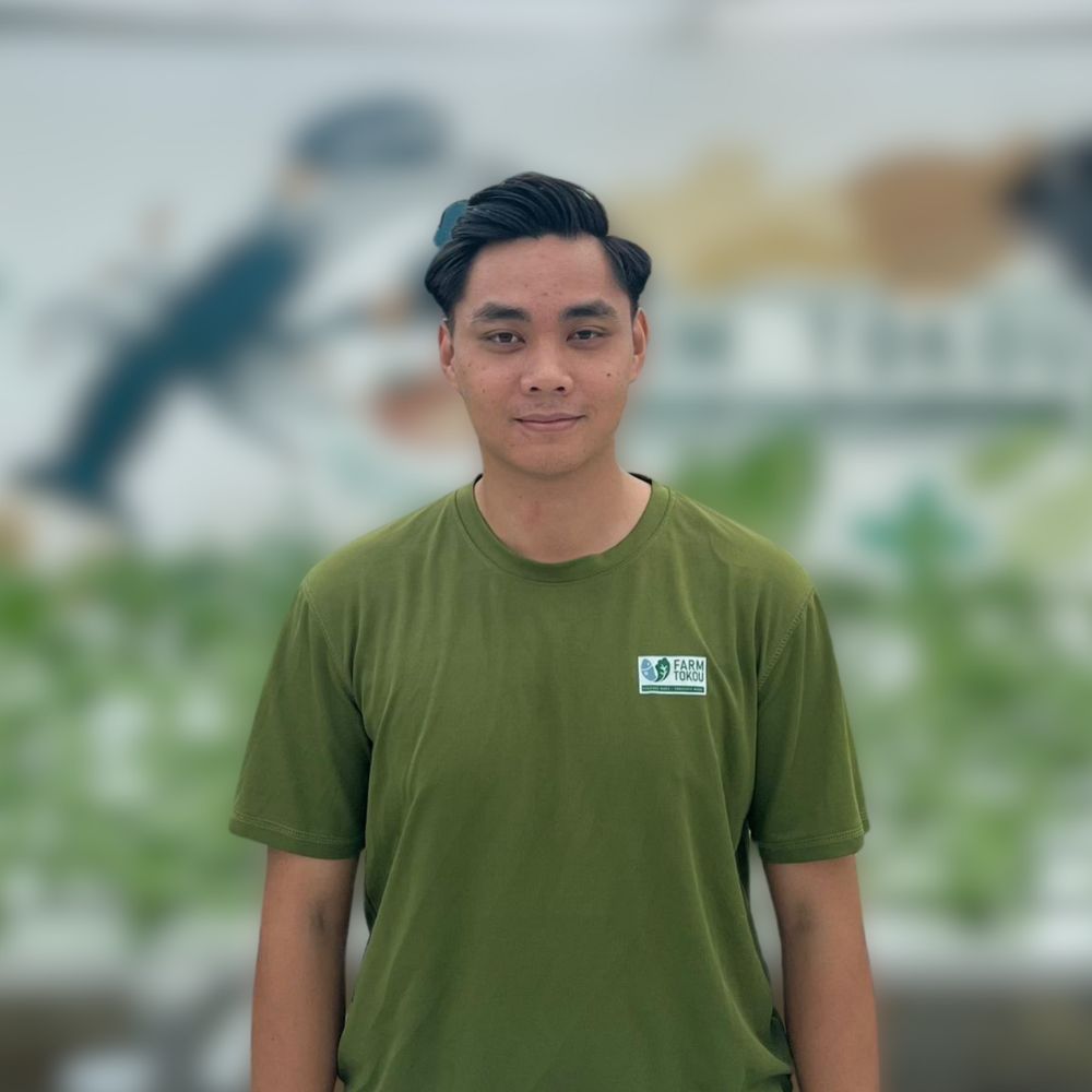 Management trainee image